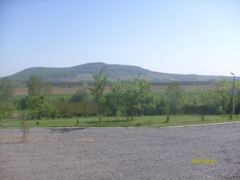 s7300267.jpg